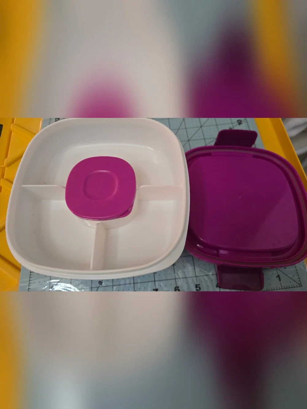 Please Read This Purple Food Storage Container Set - Versatile Kitchen Storage